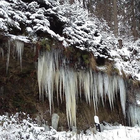 Ferienwohnung Bergblick Kleingiesshubel Zewnętrze zdjęcie