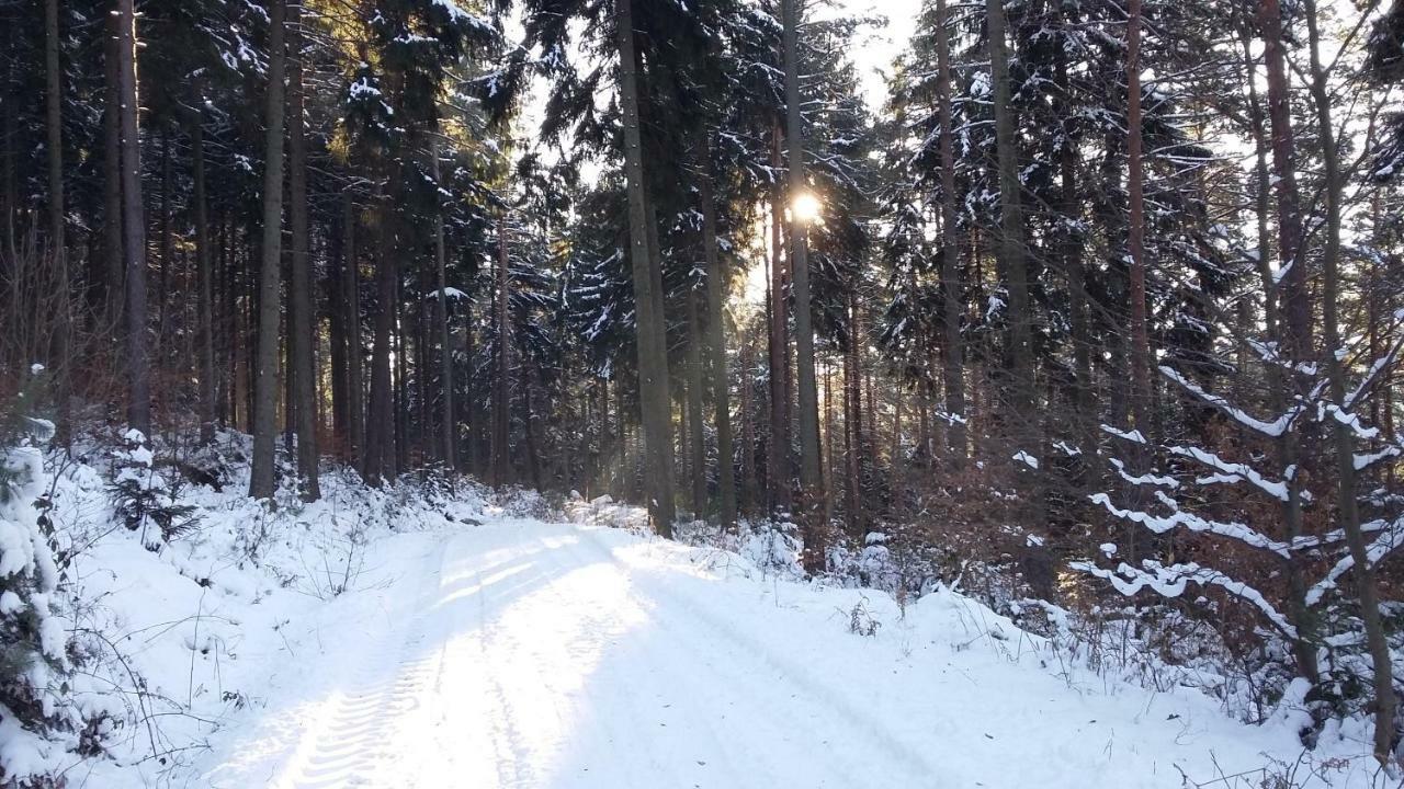 Ferienwohnung Bergblick Kleingiesshubel Zewnętrze zdjęcie